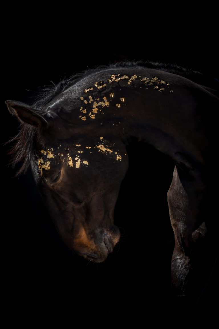 Pferd mit Gold